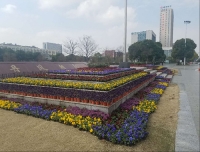 綠化設計施工